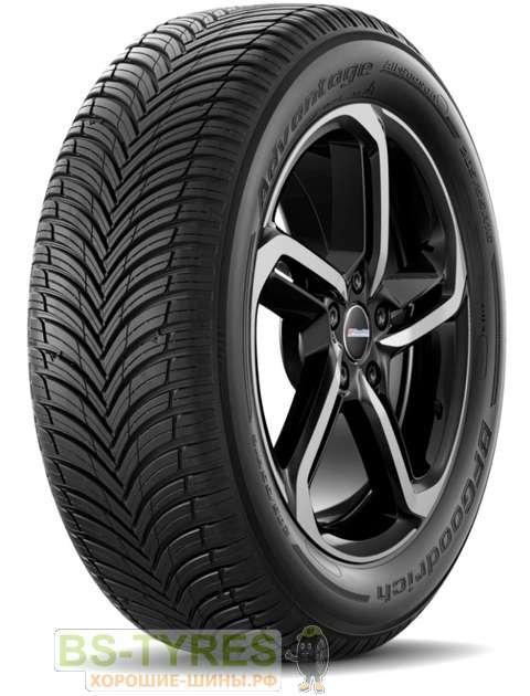 Advantage All Season