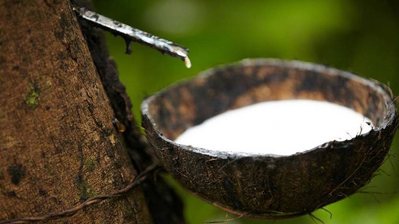 Pirelli приобрела компанию по переработке натурального каучука