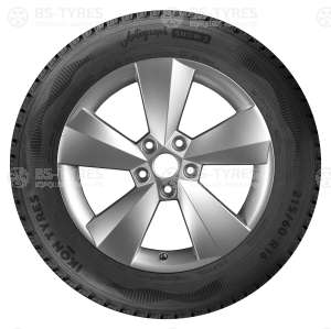 Ikon (Nokian Tyres) Autograph Snow C3 215/70 R15C 109/107R