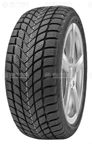 Delinte Winter WD6 195/55 R16 87T