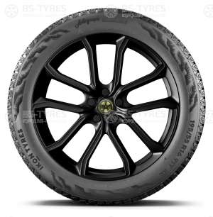 Ikon (Nokian Tyres) Autograph Snow 5 SUV 235/55 R19 105R