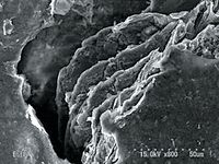 ig30 полости от кристаллов углерода ig30 полости от кристаллов углерода